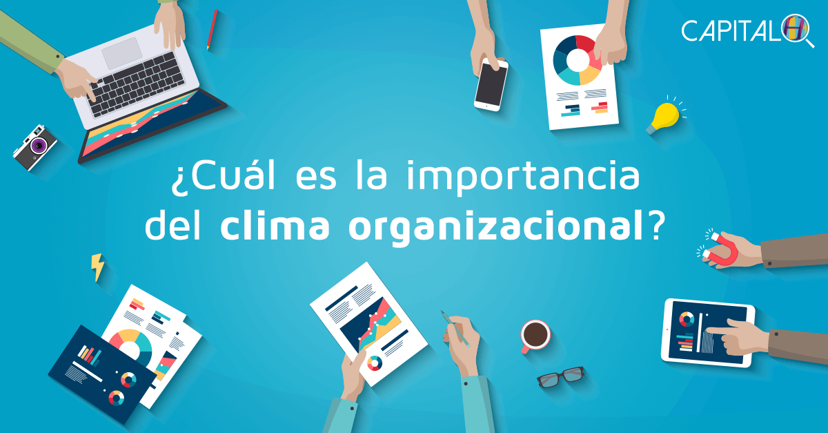 Conoce la Importancia del Clima Organizacional