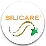 SILICARE | CASOS DE ÉXITO