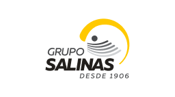 Logo Grupo Salinas